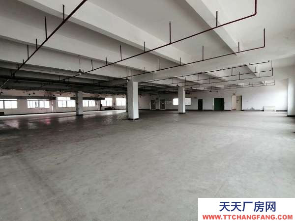 武漢江漢(出租) 3千平米廠房出租 可做服裝加工