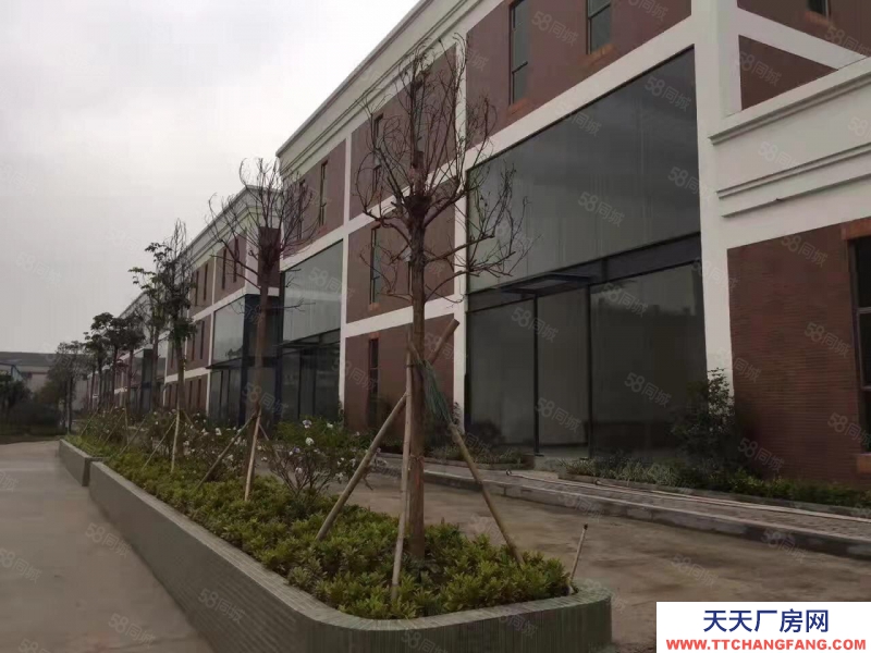 (出租) 荔灣區(qū)芳村橋倉庫出租。