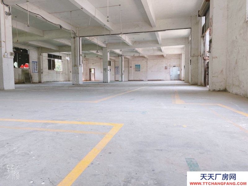 (出租) 荔灣區芳村橋倉庫出租。