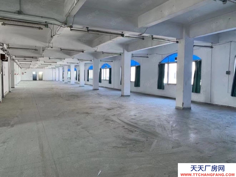 (出租) 荔灣區芳村石圍塘廠房倉庫出租