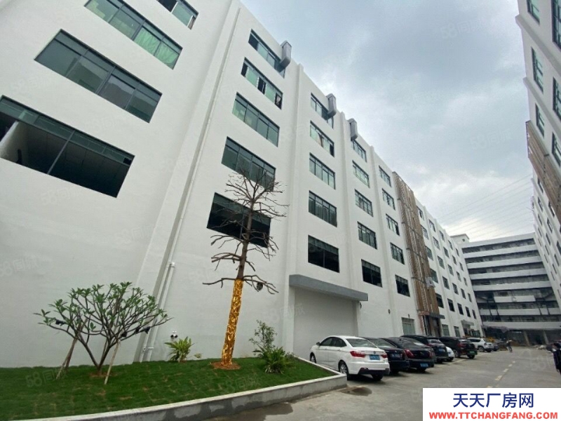 (出租) 荔灣區芳村石圍塘廠房倉庫出租