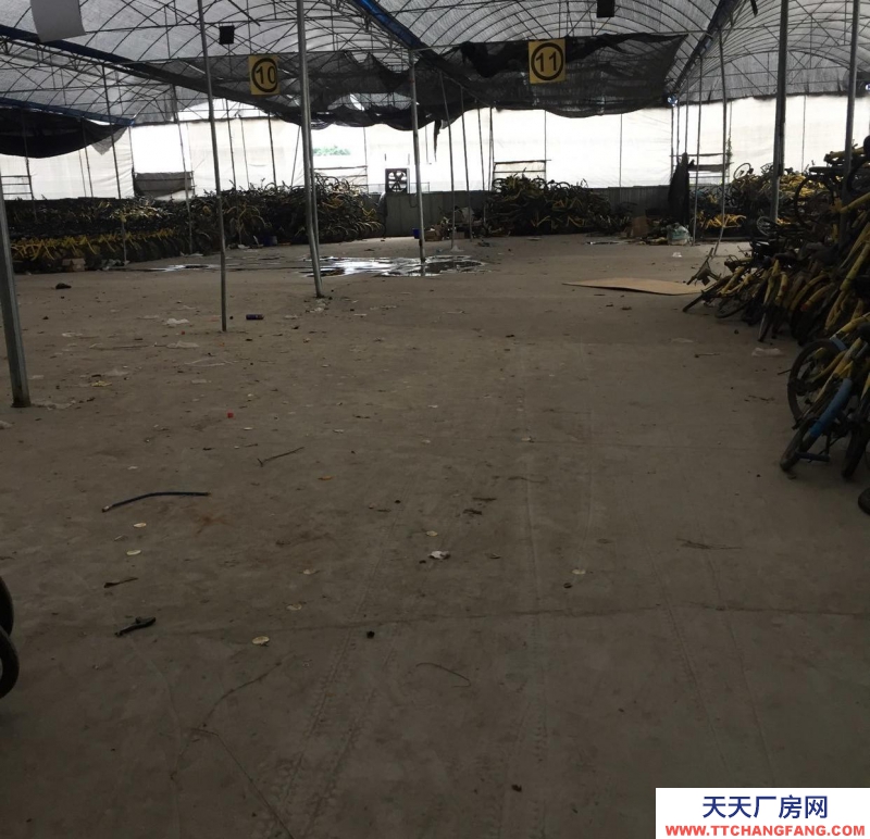 (出租) 荔灣芳村龍溪大道倉庫1000方出租