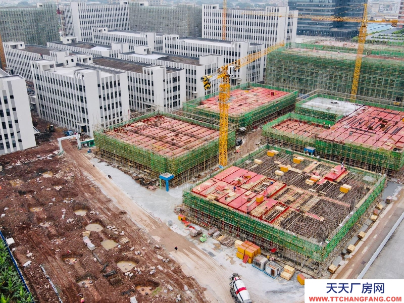 (出售)荔灣 臨廣州南站,現樓4600方獨棟!!國有廠權!贈送獨棟冠名權