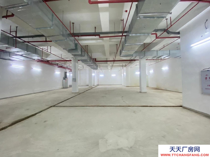 (出租) 福州倉山區價格面議！電商貿易等公司辦公倉儲。