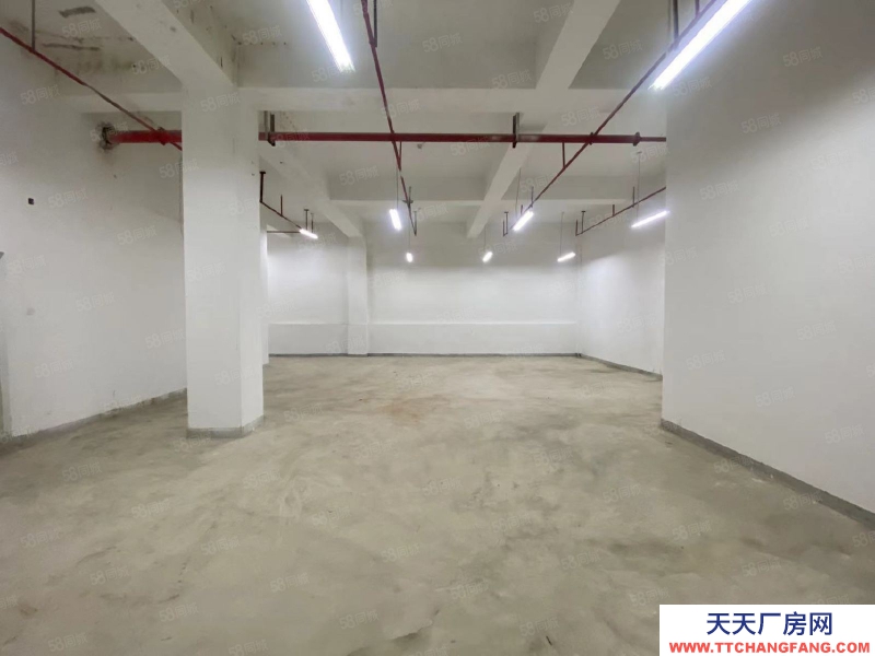 (出租) 福州倉山區價格面議!電商貿易等公司辦公倉儲。