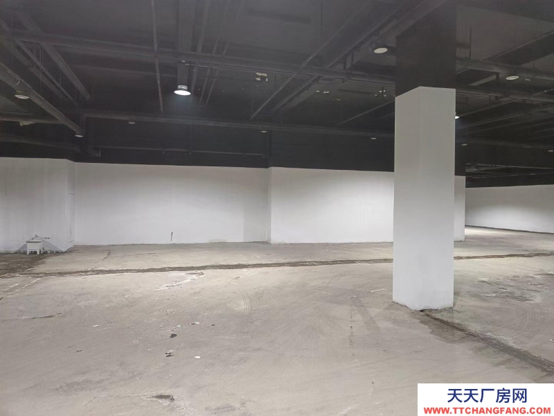 濟南歷下公司直租無中介,龍鼎大道旁