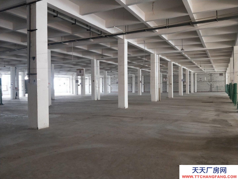 重慶北碚蔡家工業園2000平米廠房出租，可分租