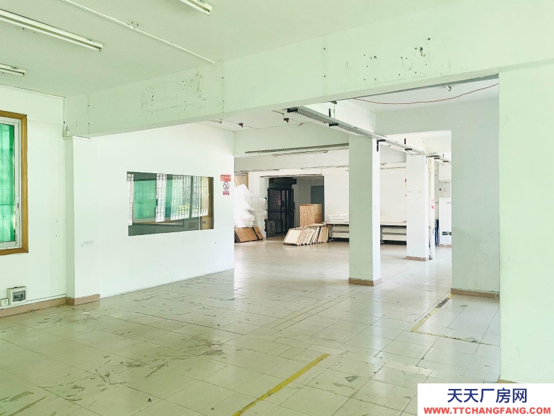 (出租) 越秀免租2個(gè)月環(huán)市東超筍大平層 獨(dú)立院子24小時(shí) 任何行業(yè)均可