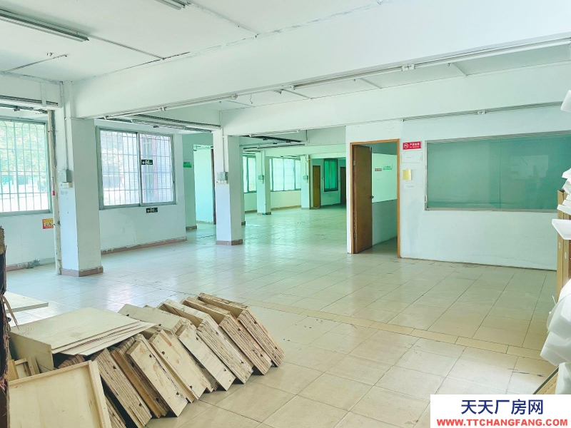 (出租) 越秀免租2個月環市東超筍大平層 獨立院子24小時 任何行業均可