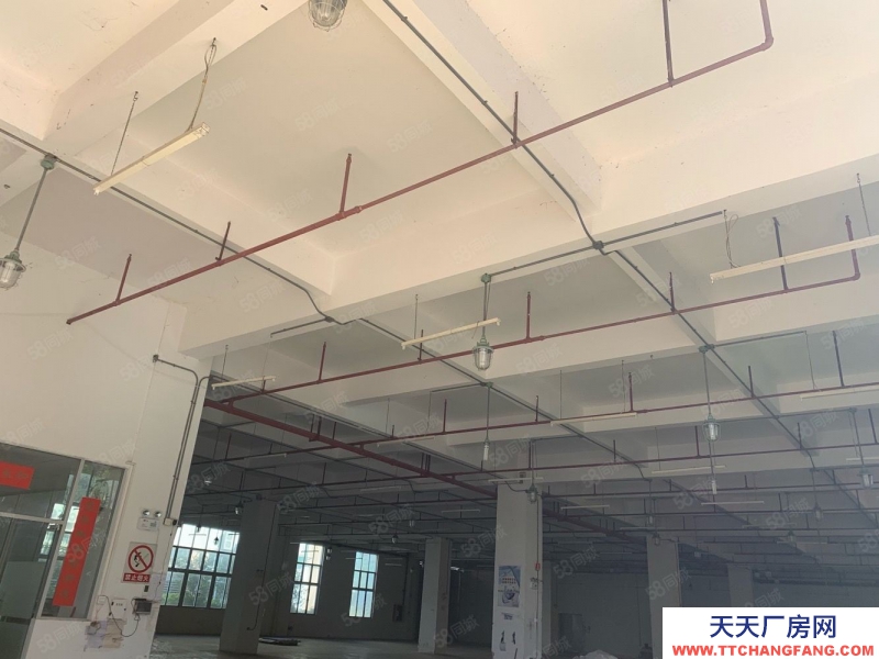 (出租) 番禺獨(dú)院廠房7500平方出租 證件齊全 可辦環(huán)評(píng) 市政管網(wǎng)