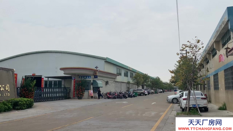 (出租) 番禺沙灣福涌12米高鋼構(gòu)1180平方出租 可辦環(huán)評(píng) 證件齊全