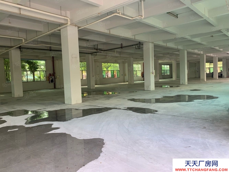 (出租) 番禺地鐵口電商 貿(mào)易 辦公920方1275平至8500平廠房出租