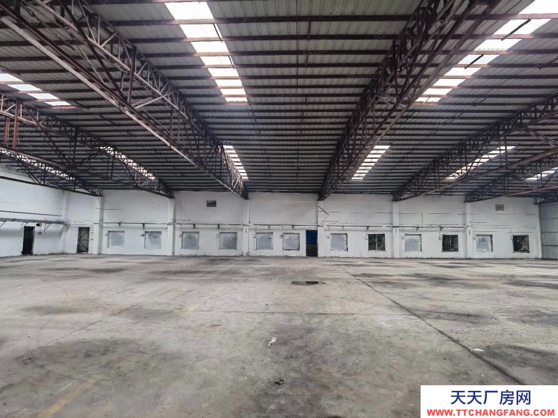 (出租) 番禺區(qū)石基單一層廠房,倉庫1000平招租,層高8米