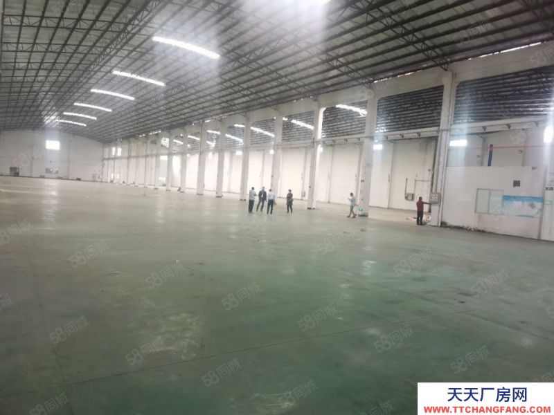 (出租)番禺廣州南站附近倉庫出租4560方,獨門獨院,磚墻到頂,空地大