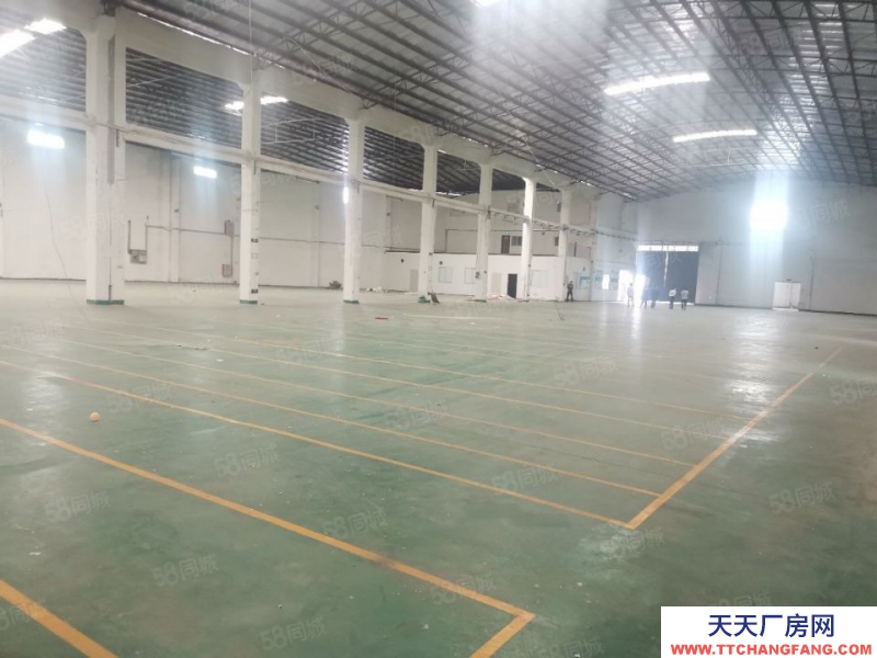 (出租)番禺廣州南站附近倉庫出租4560方，獨門獨院，磚墻到頂，空地大