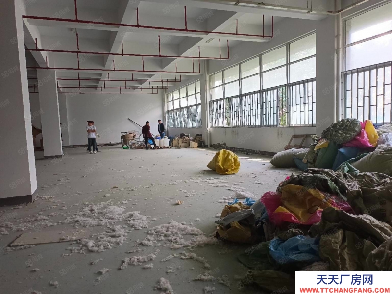 杭州濱江中小型精裝淘寶倉儲,光線通透,位置好200方起租,層高5米