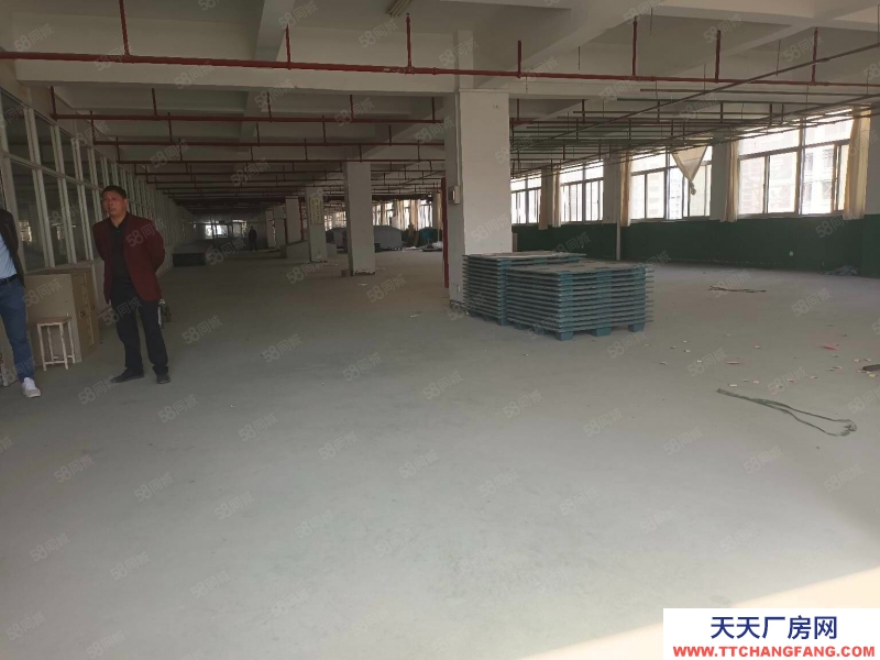 杭州濱江中小型精裝淘寶倉儲,光線通透,位置好200方起租,層高5米