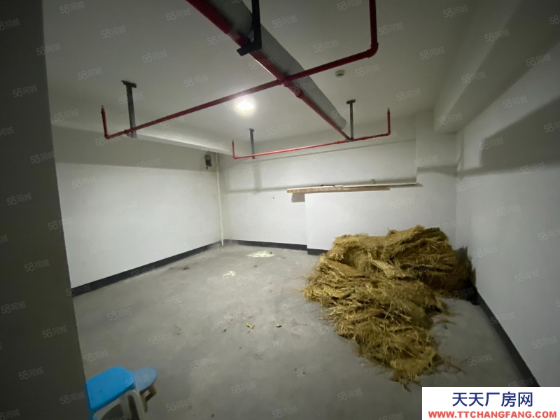 杭州濱江(出租) 倉庫租賃 旺鋪直招 業態包容度大 交通方便 穩定