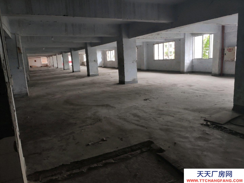 重慶萬州沙龍路區(qū)法院旁庫房1100平招租