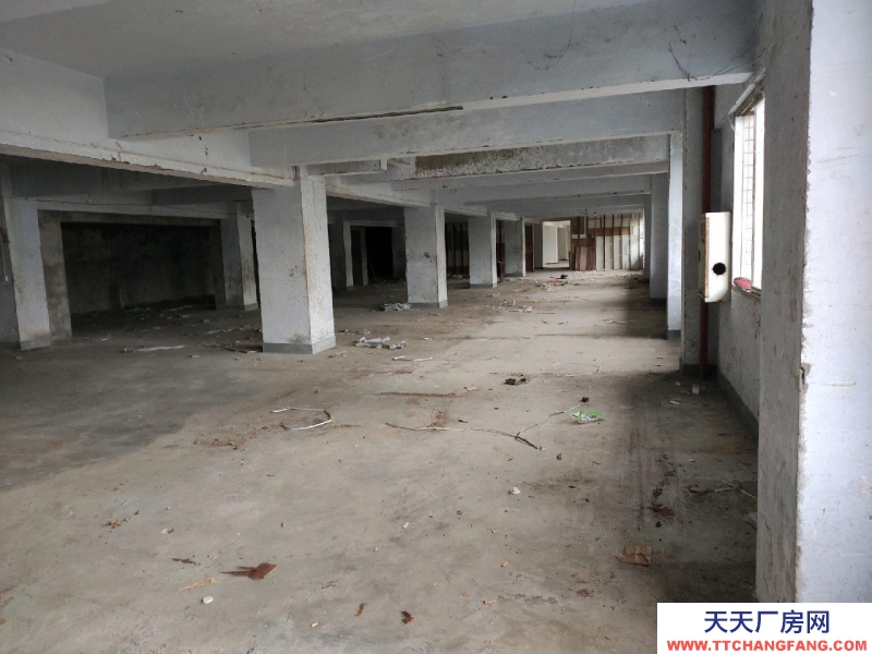 重慶萬州沙龍路區法院旁庫房1100平招租