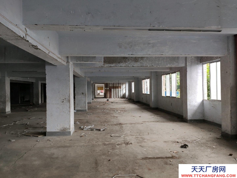 重慶萬州沙龍路區法院旁庫房1100平招租