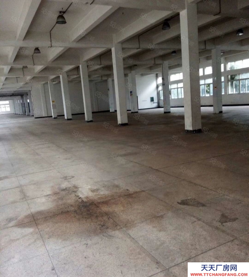 杭州濱江(出租) 三橋大量倉庫出租面積可選擇 小面積120方到2000方