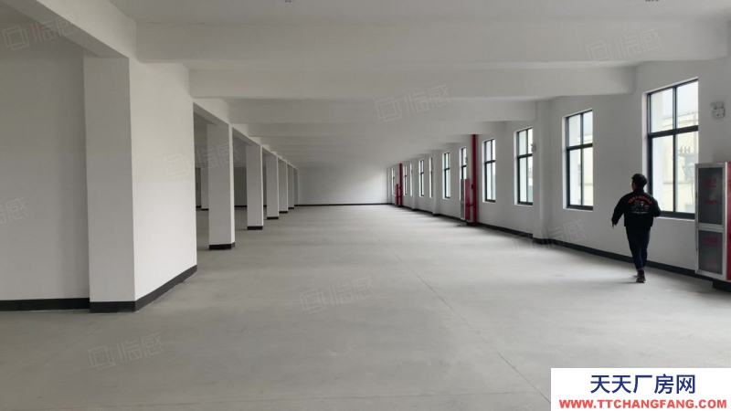 杭州濱江(出租) 大美湘湖倉庫出租大小面積都可選,歡迎各大電商老板參觀入駐