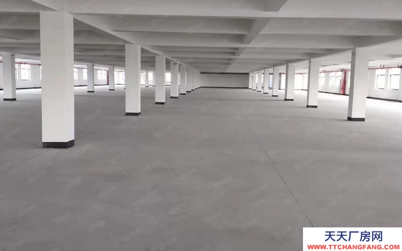 杭州濱江(出租) 大美湘湖倉庫出租大小面積都可選，歡迎各大電商老板參觀入駐