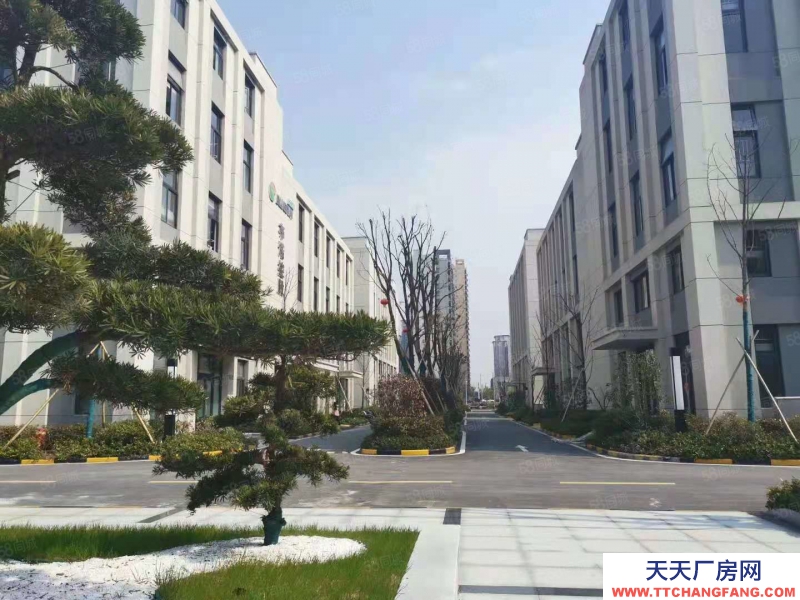 濟南市中優企選址,產業大廈600平米起