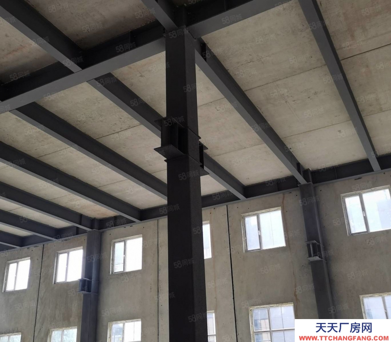 (出售) 沈遼路主干道旁 660平 首層舉架8米，贈送屋頂全景露臺