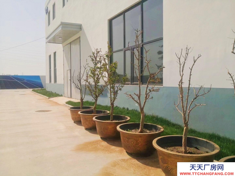 石家莊裕華三層企業(yè)獨(dú)棟廠房，面積600-2200平