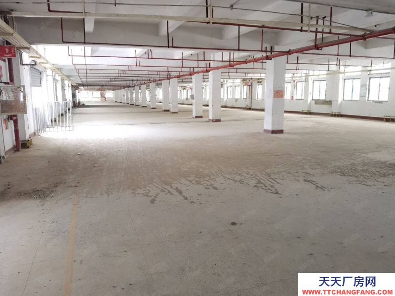 (出租) 福州晉安區房東直租倉庫,馬尾中心位置,交通便利