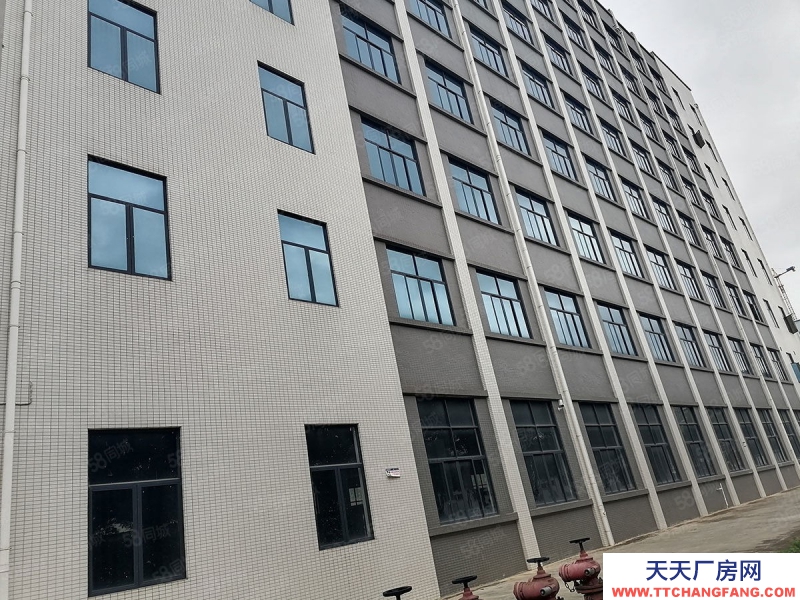 南寧市西鄉塘區出租全新標準廠房倉庫,500平起,可租可售,有一樓!有補貼