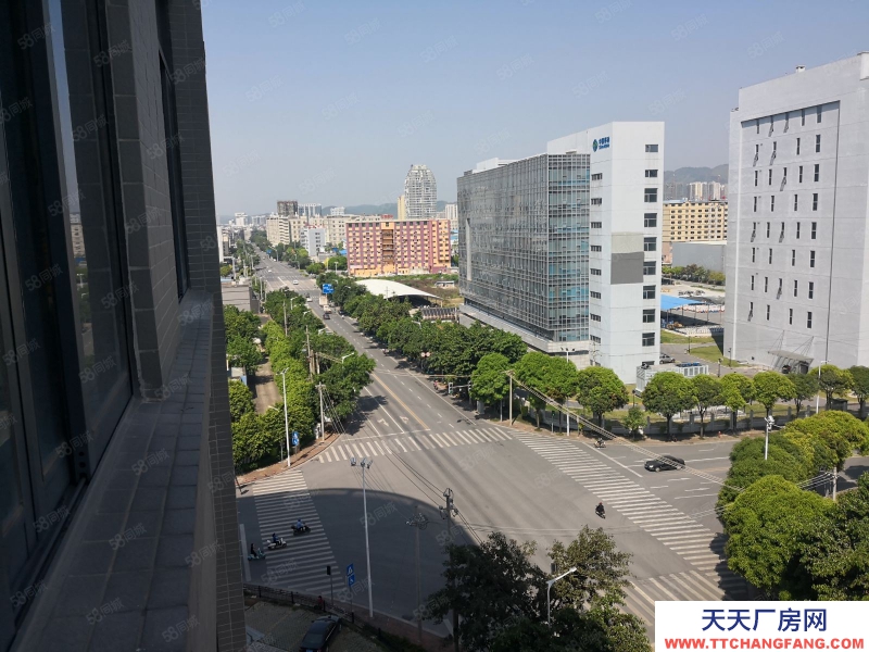 南寧市西鄉塘區出租全新標準廠房倉庫,500平起,可租可售,有一樓!有補貼