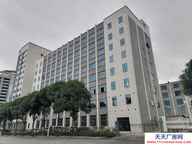 南寧市西鄉塘區出租全新標準廠房倉庫,500平起,可租可售,有一樓!有補貼