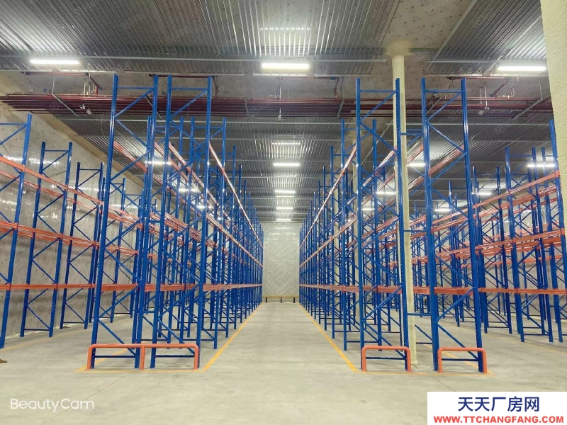 濟南中區 羅爾工業園冷庫出租3千平空地出租20畝建設用地