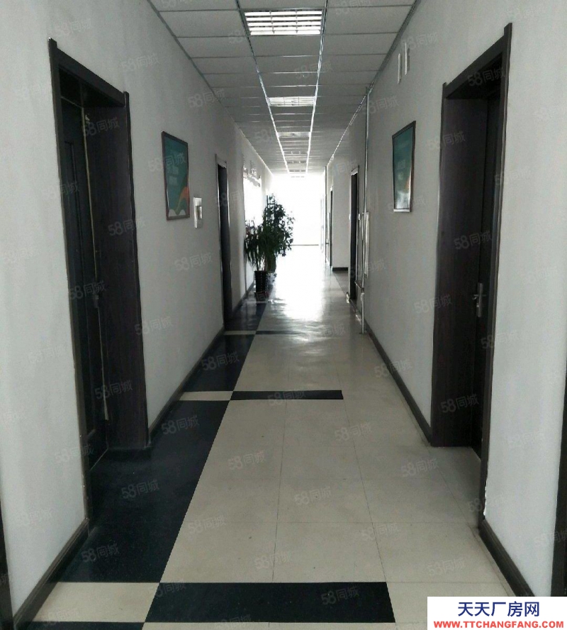 急售!急售!鐵西經(jīng)濟(jì)開發(fā)區(qū)治金工業(yè)園,獨門獨院,交通便利