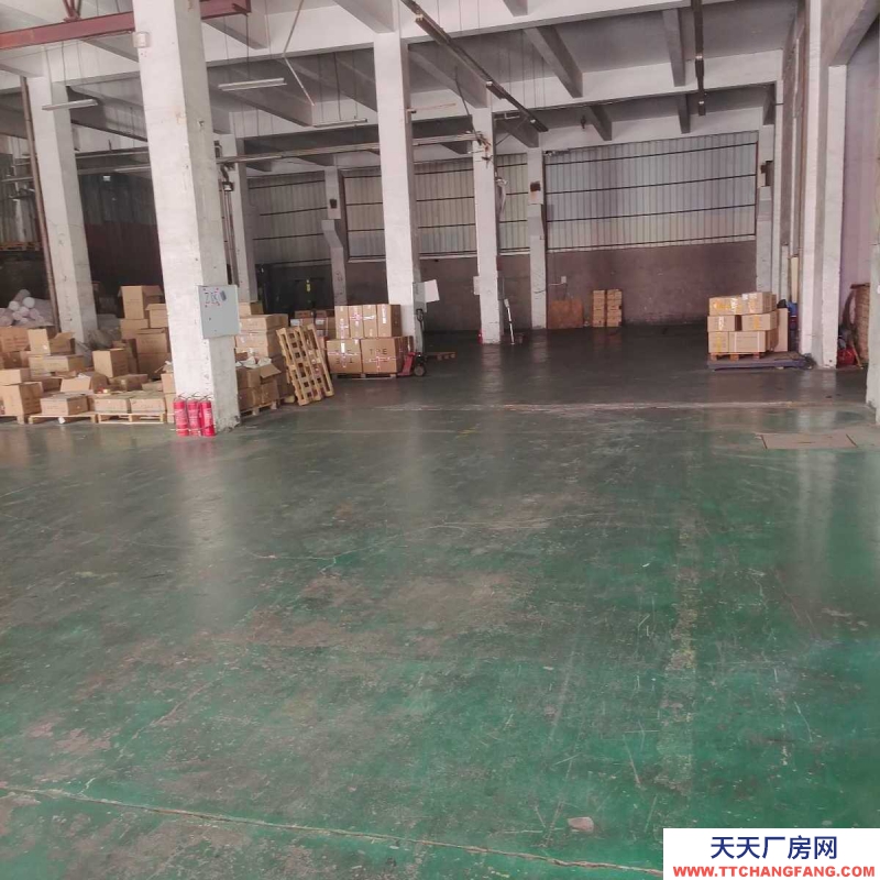 鐵西50至2000平標(biāo)準(zhǔn)倉庫出租(按需分割)中央大街五號