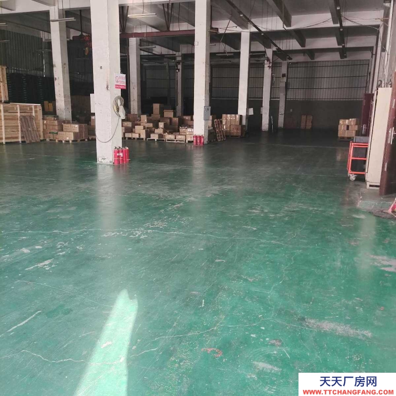 鐵西50至2000平標準倉庫出租（按需分割）中央大街五號