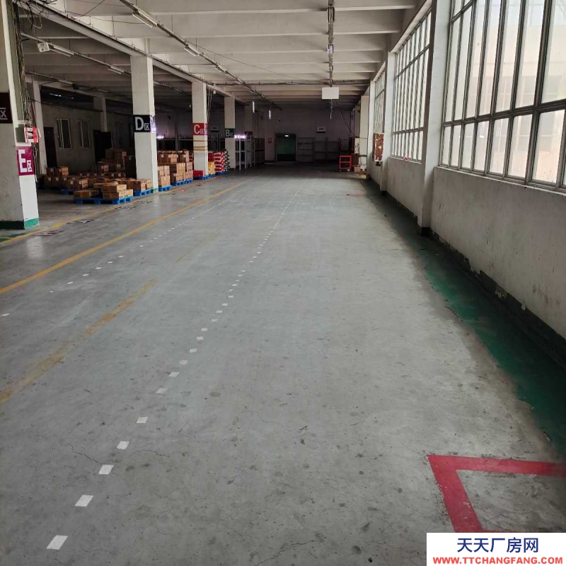 鐵西50至2000平標(biāo)準(zhǔn)倉庫出租(按需分割)中央大街五號