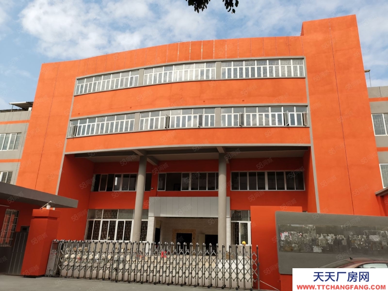 (出租) 海珠形象好獨院原房東10000方4層廠房倉庫可分租電大