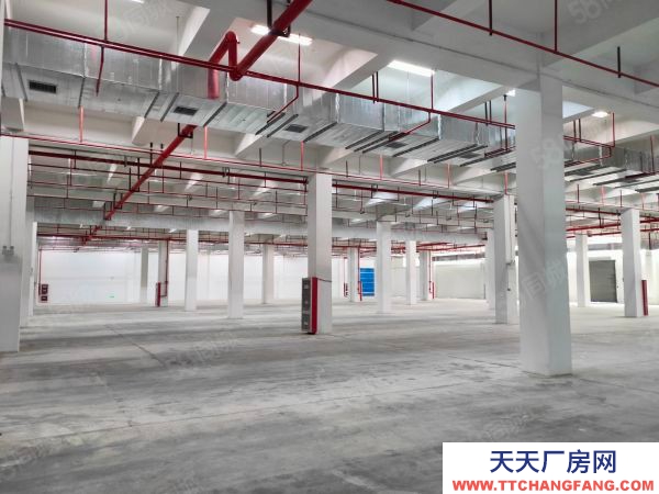 南京市江寧區(出租) 眾彩物流3000平。丙類消防，可以分租