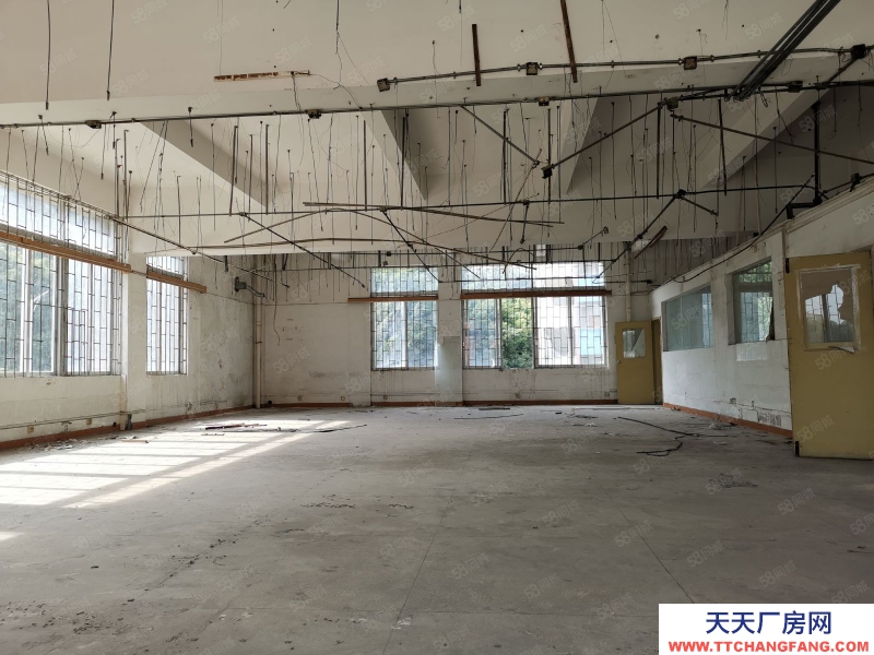 (出租) 海珠形象好獨院原房東10000方4層廠房倉庫可分租電大