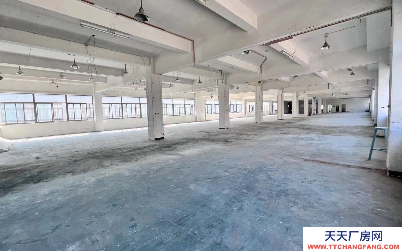 杭州濱江整層1300方 戶(hù)型 采光好 大貨梯 適合電商 直播