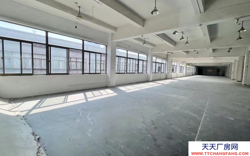 杭州濱江整層1300方 戶(hù)型 采光好 大貨梯 適合電商 直播