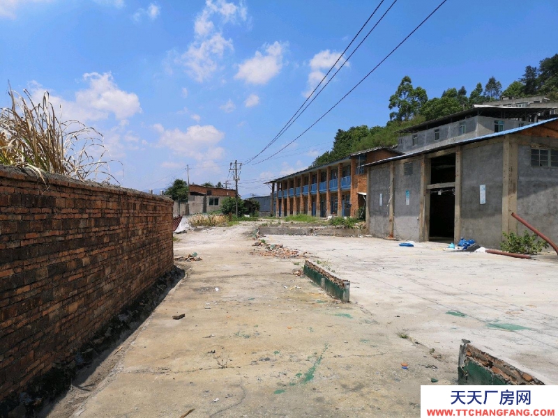 (出租) 房屋及空地出租地址永豐樞紐三環互通口邊上