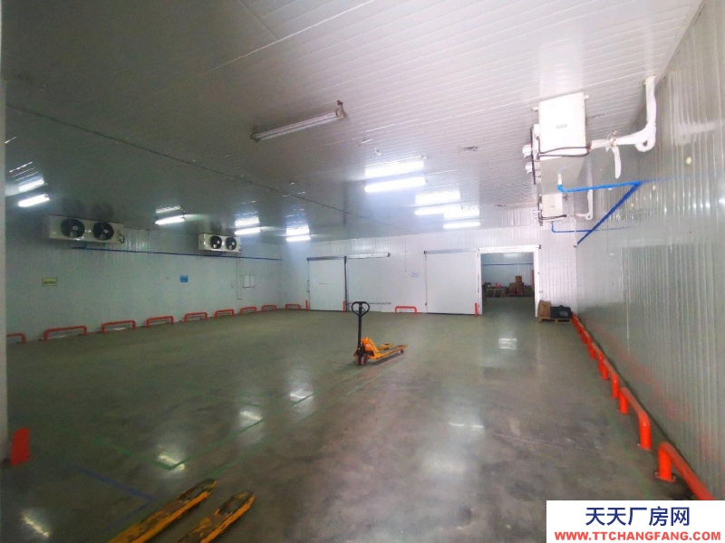 (出租) 鐵西經濟技術開發區 冷藏庫招租