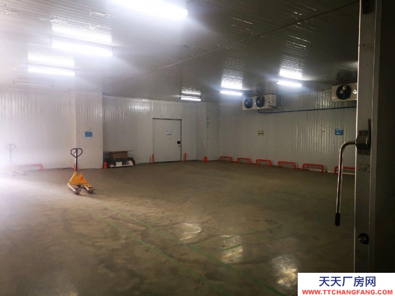 (出租) 鐵西經濟技術開發區 冷藏庫招租