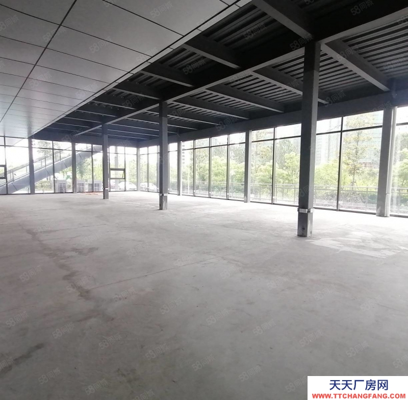 杭州濱江得好房圓美夢，濱江一樓落地窗436方高5.5米，天然氧吧