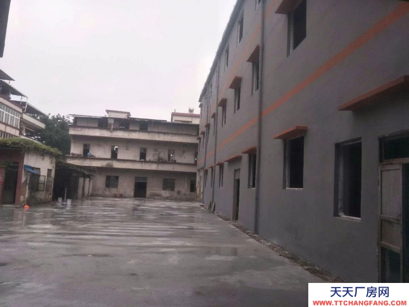 (出租) 海珠區龍潭村420平方7米高可放貨租21000元